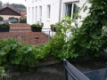 Hochbeet2015_1