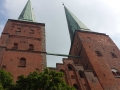 Dom